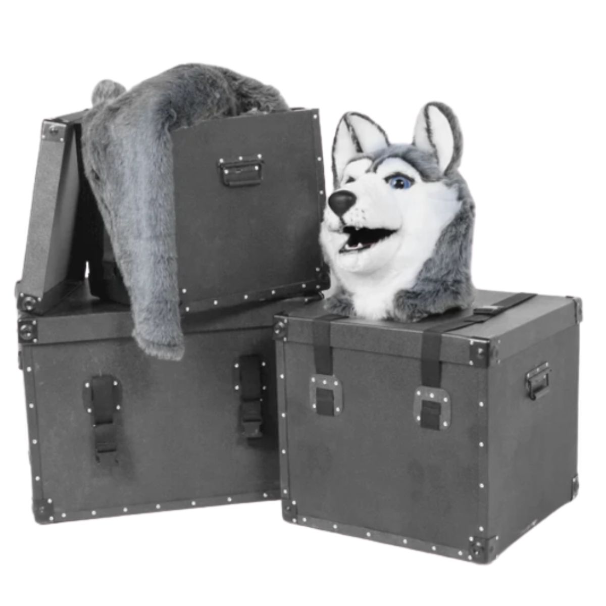 Mascot Accessories