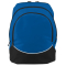 Tri-Color Back Pack-Large